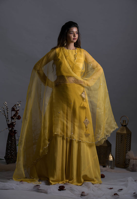 Woman Wearing Yellow Lehenga