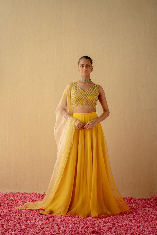 Women Wearing Yellow Sharara Set.