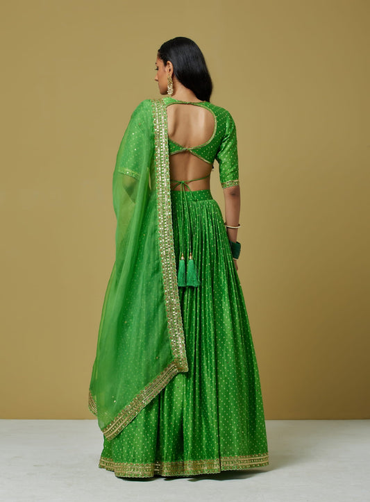 Women Wearing Green Dupatta