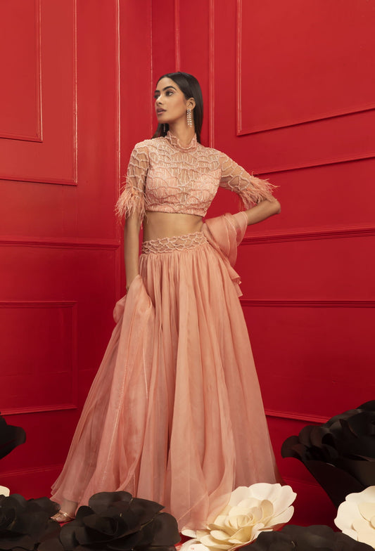 Women Wearing Pink Lehenga Set