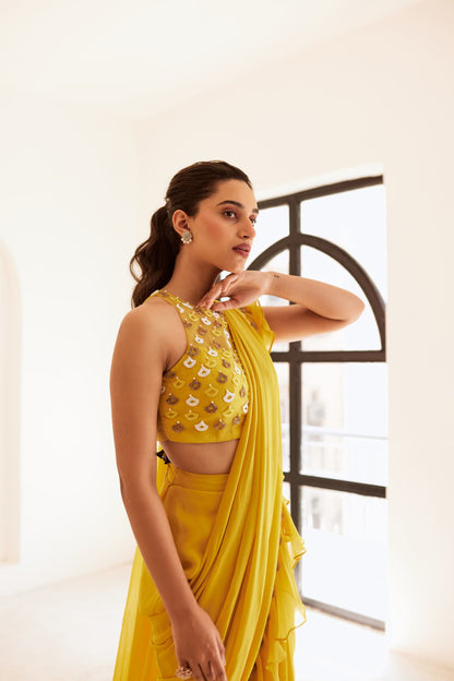 Womens Spring Yellow Net Saree Set